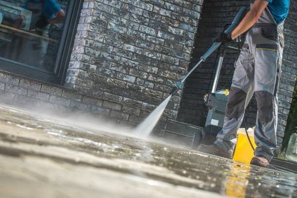 Best Pre-Holiday Cleaning  in Memphis, MI