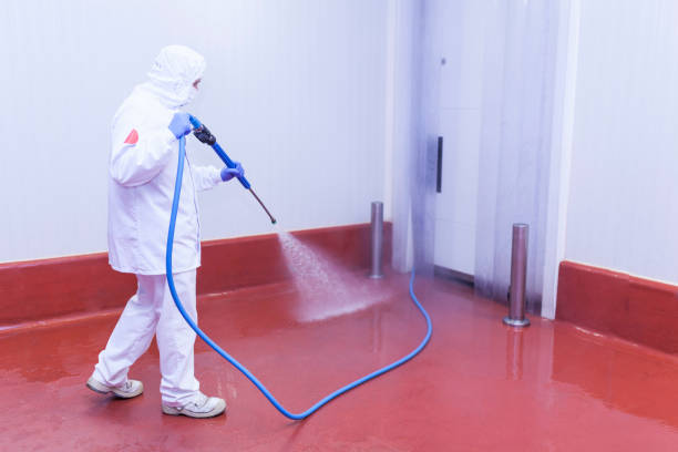 Best Boat and Dock Cleaning  in Memphis, MI